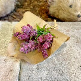 Heidestrauß in Papier 