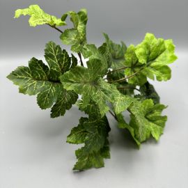 Heuchera Busch grün