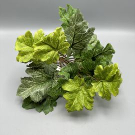 Heuchera Busch grün/bemehlt