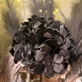 Hortensie powder mit Glitter schwarz