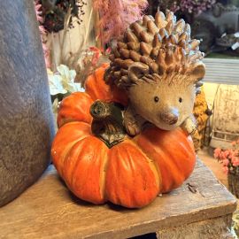 Igel auf Kürbis