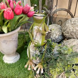 Kantenhocker Frosch mit Angel