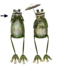 Kantenhocker Frosch mit Fernglas