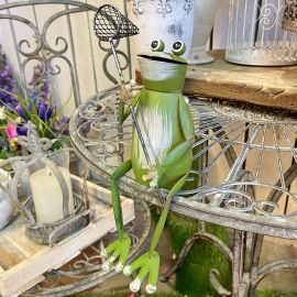 Kantenhocker Frosch mit Kescher