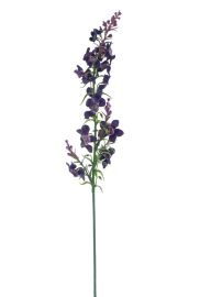 Katzenminze aubergine