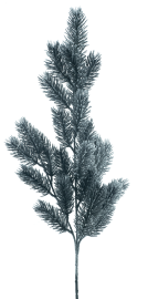 Kiefernzweig beschneit Hatley schwarz 