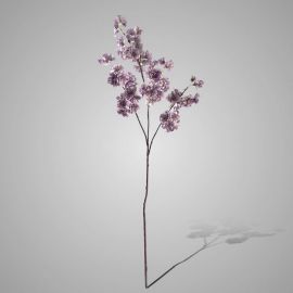 Kirschblütenzweig violett