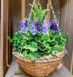 Konifere mit Lavendel im Hängekorb