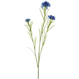 Kornblume blau