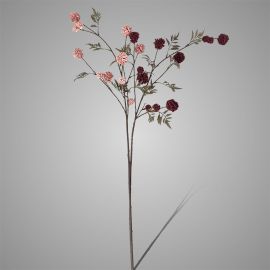 Kugelzweig rosa