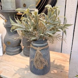 Leucothoe-Busch grau/grün