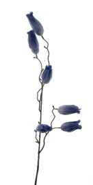 Lilienknospenzweig blau