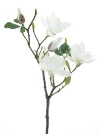 Magnolienzweig cream 