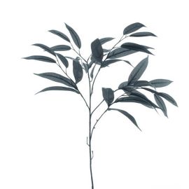 Mango Blätterzweig schwarz