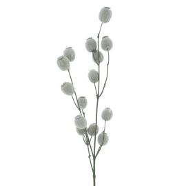 Mohnkapsel-Zweig cream