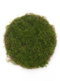 Moosmatte rund grün