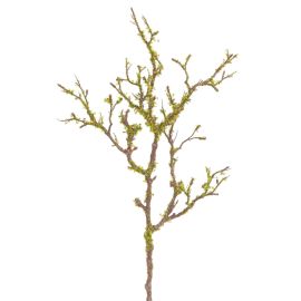 Mooszweig grün/braun 