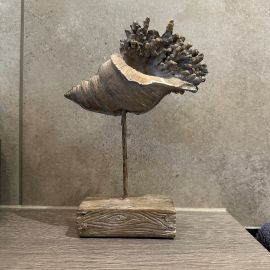 Muschel Valo auf Sockel