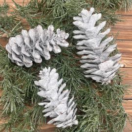 Naturkiefernzapfen geweißt