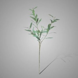 Olivenzweig grün 