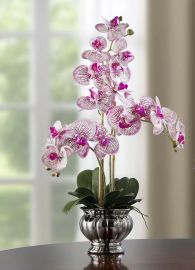 Orchidee im silbernen Topf