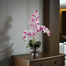 Orchidee im silbernen Topf