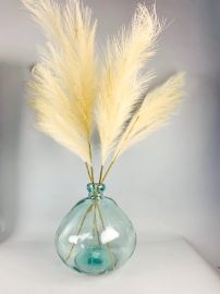 Pampasgras Büschel creme