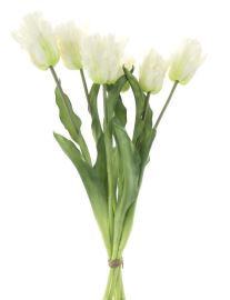 Papageientulpenstrauß creme 