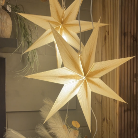 Papierstern Melchior weiß mit Goldglitter (7 Zacken)