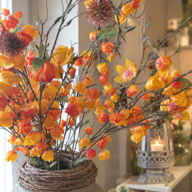 Physalis Zweig orange