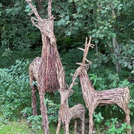 Rentier aus Weinreben