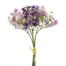 Schleierkraut Bündel purple mix