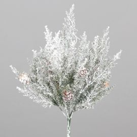 Schneetannenbusch mit Zapfen