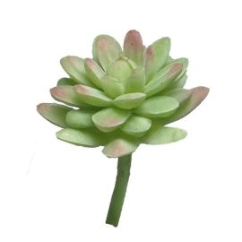 Sedum Sukkulentenpick grün/rot