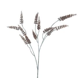 Seed-Zweig braun