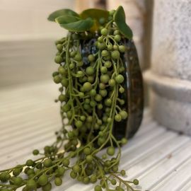 Seneciohänger grün 