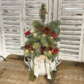 Tannengesteck im Valo Topf