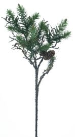 Tannenzweig Alba mit Zapfen 