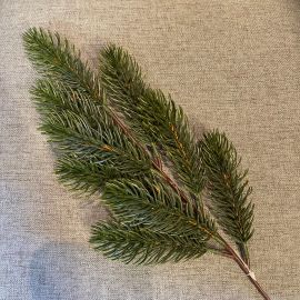 Tannenzweig grün