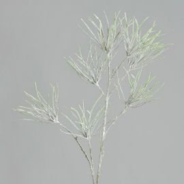 Tillandsia- Glitterzweig 