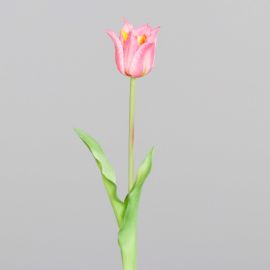 Tulpe blühend rosa (real touch)