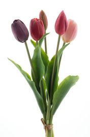 Tulpenbund x 5 purple/beauty/combo real touch