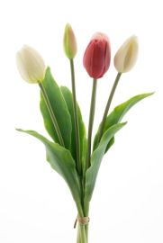 Tulpenbund x3 pink/creme/comboreal touch