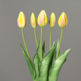 Tulpenstrauß apricot-green 