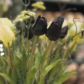 Tulpenstrauß schwarz (real touch)