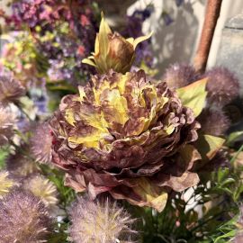 Vintage Pfingstrose purple