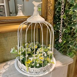 Vogelkäfig auf Teller weiß
