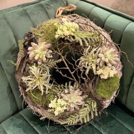 Wandkranz/Türkranz Sukkulententraum