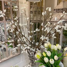 Weidenkätzchen Zweig