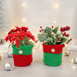 Winterblüher Ilex/Weihnachtsstern 2er Set